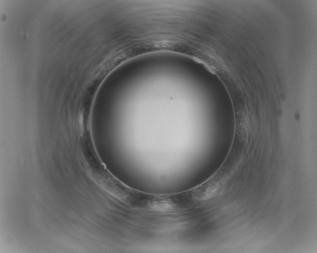 X0000066510262200603201305