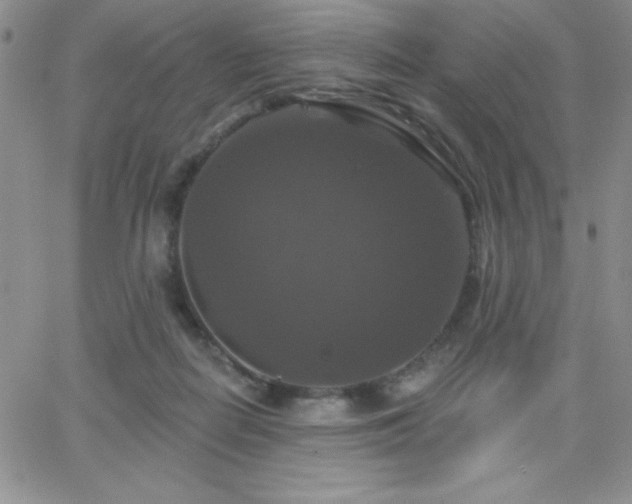 X0000066510266200603201306