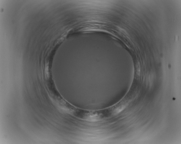 X0000066510267200603201306