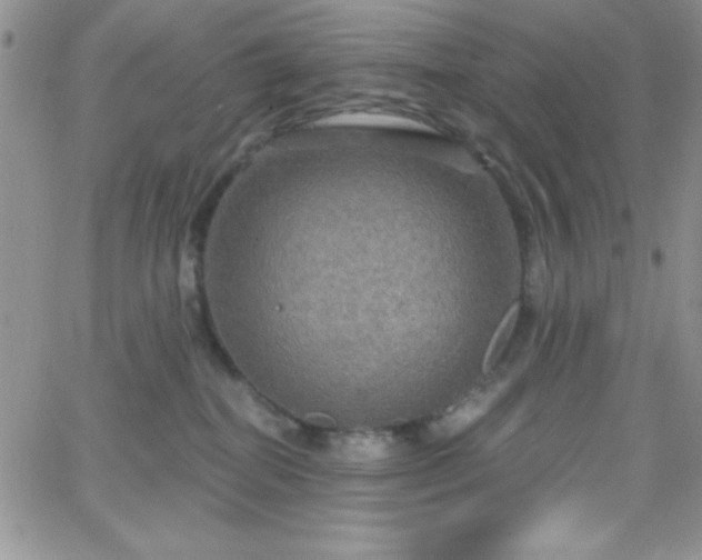 X0000066510282200603201306