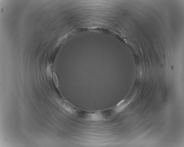 X0000066510286200603201306