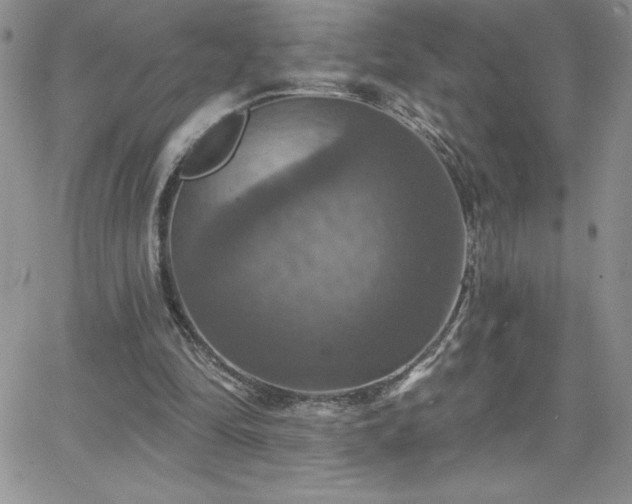 X0000066510294200603201305