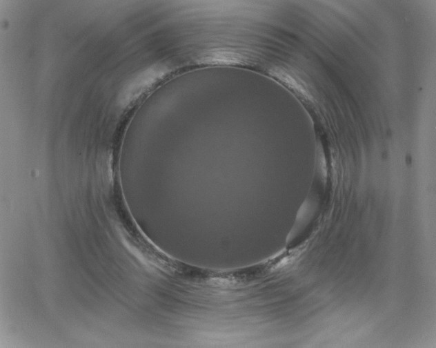 X0000066510302200603201305