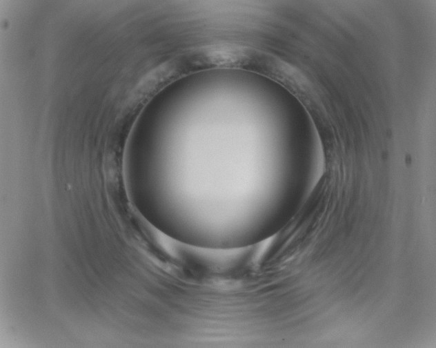 X0000066510317200603201305