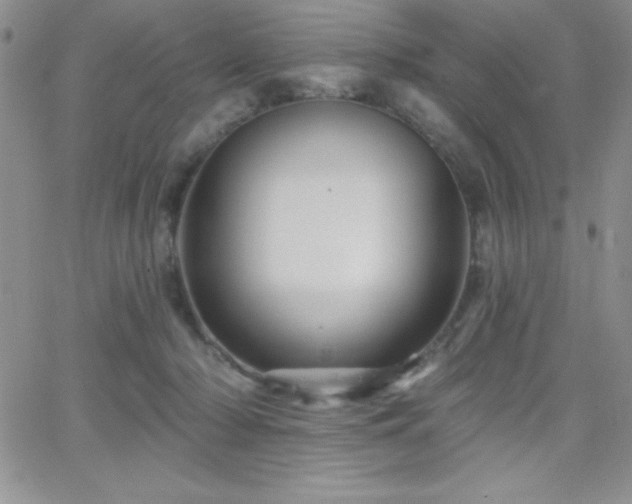 X0000066510318200603201305