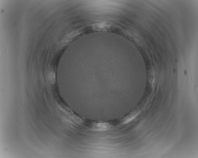 X0000066510324200603201305