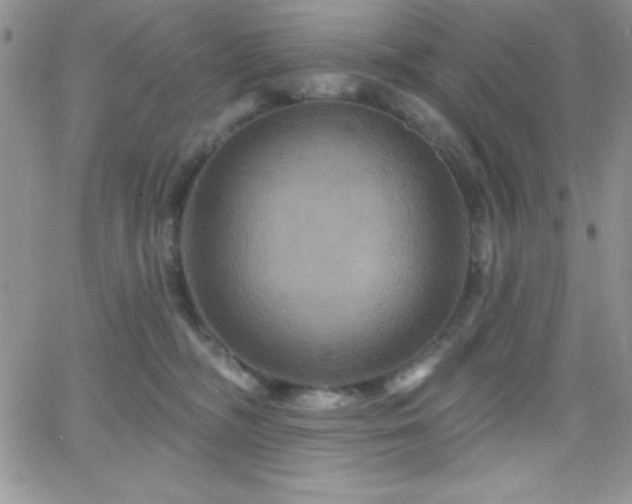 X0000066510326200603201305