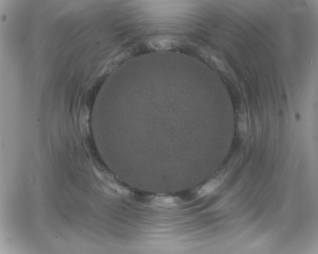 X0000066510332200603201304