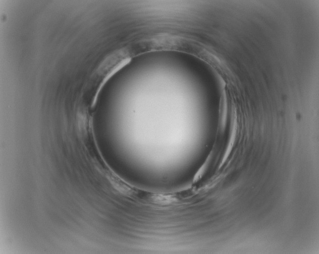 X0000066510333200603201304
