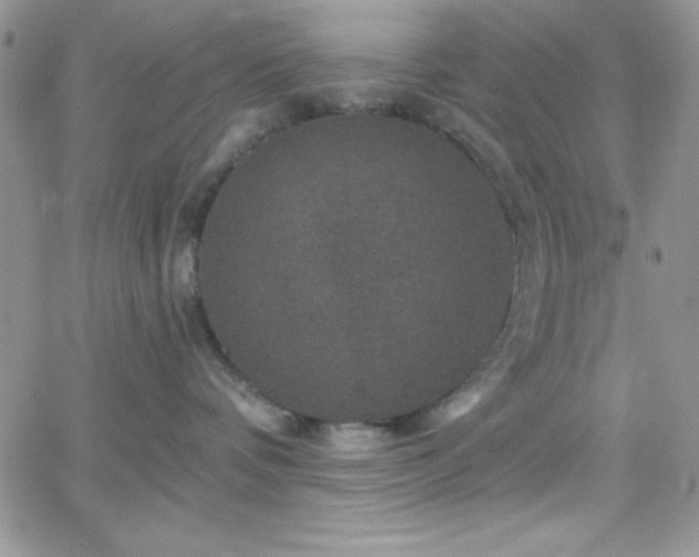 X0000066510336200603201304