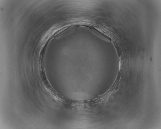X0000066510339200603201304