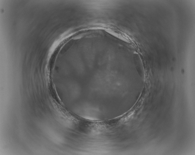 X0000066510343200603201304