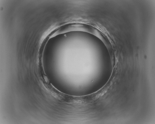 X0000066510344200603201304