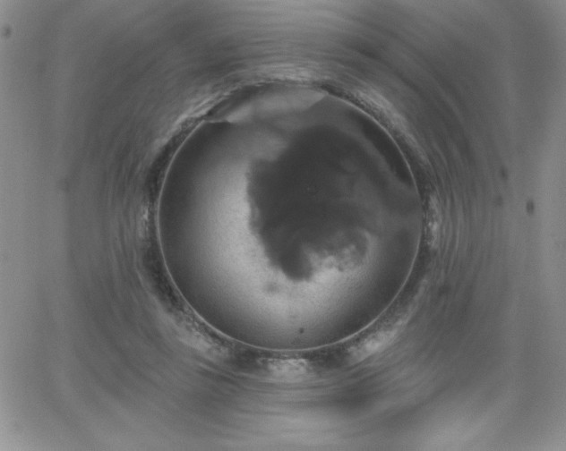 X0000066510355200603201304