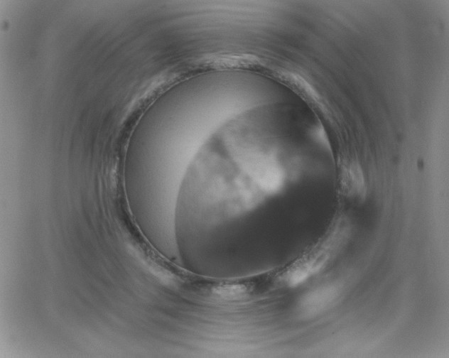 X0000066510357200603201304
