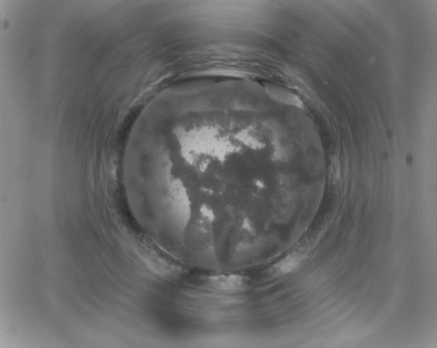X0000066510363200603201304