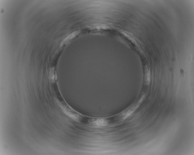 X0000066510383200603201304