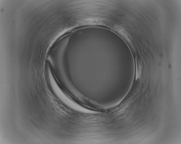X0000066510387200603201304