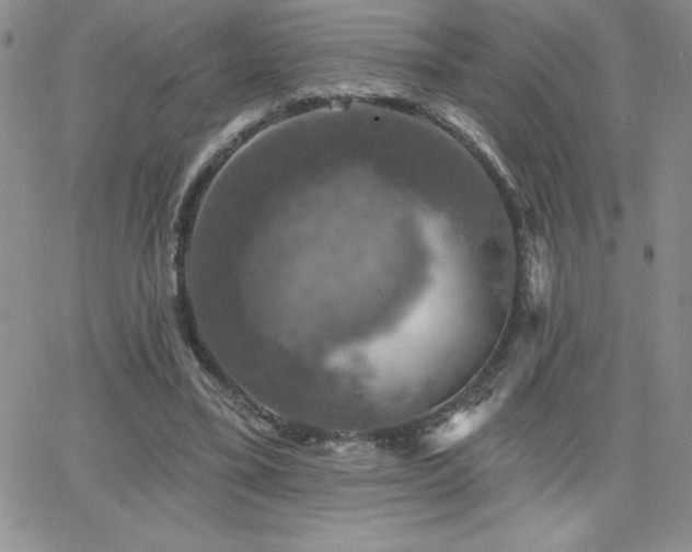 X0000066510395200603201303
