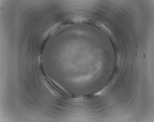X0000066510405200603201303