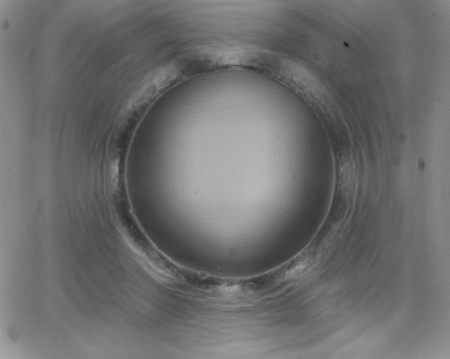 X0000066510406200603201303