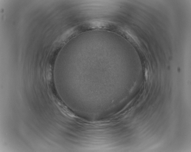 X0000066510413200603201303