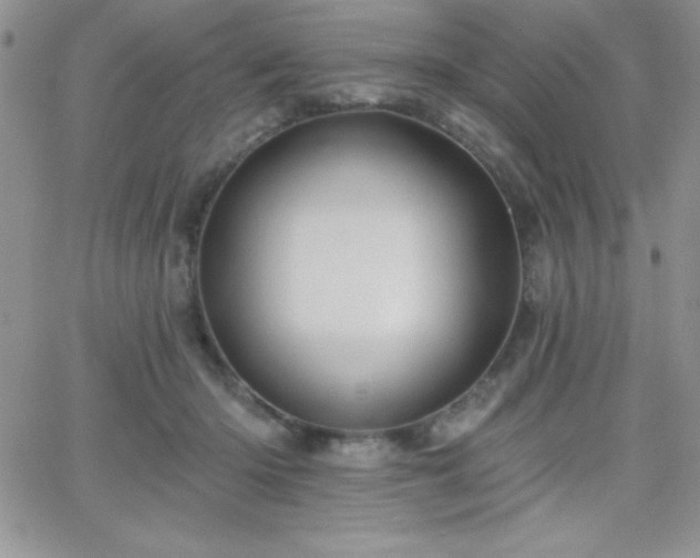 X0000066510414200603201303