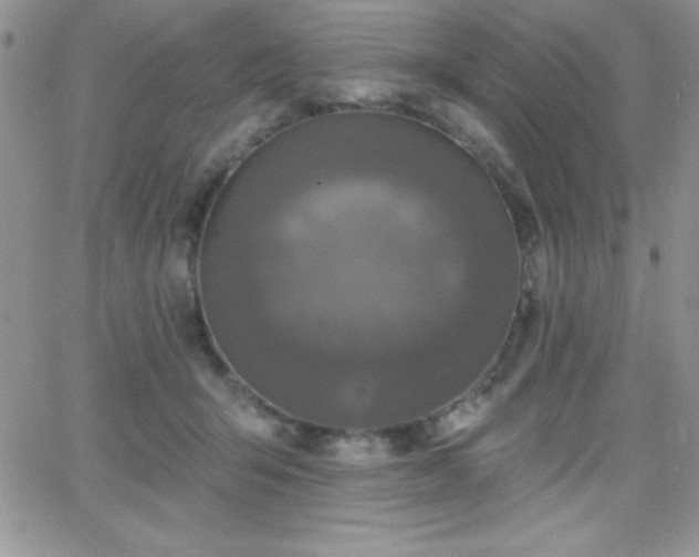 X0000066510415200603201303