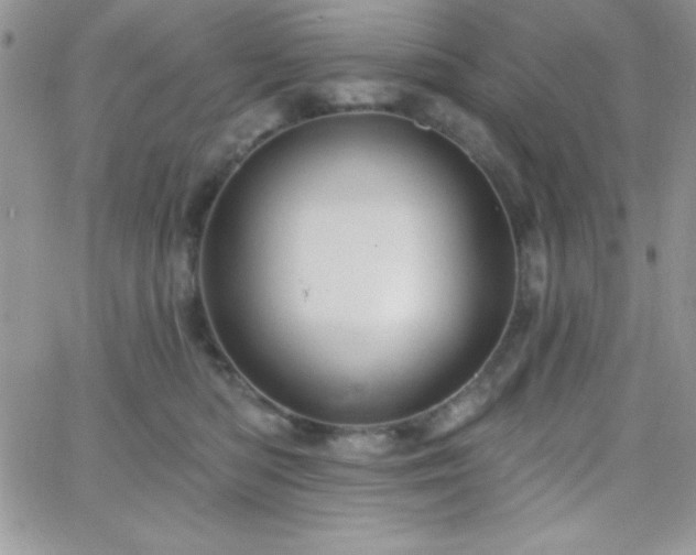 X0000066510422200603201303