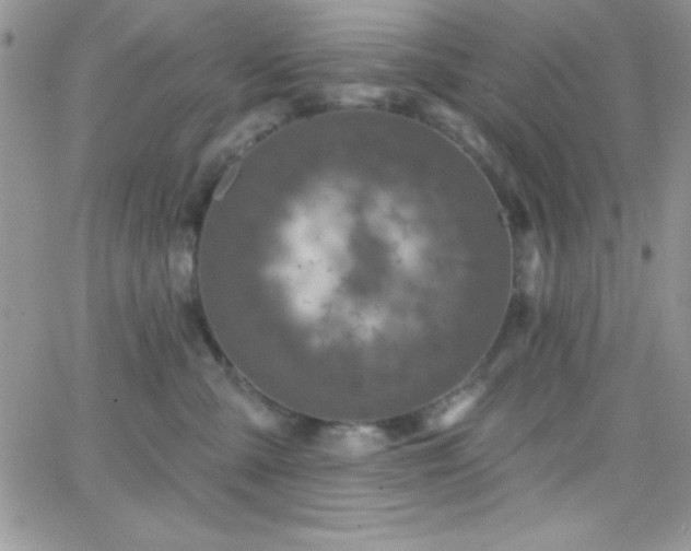 X0000066510427200603201303
