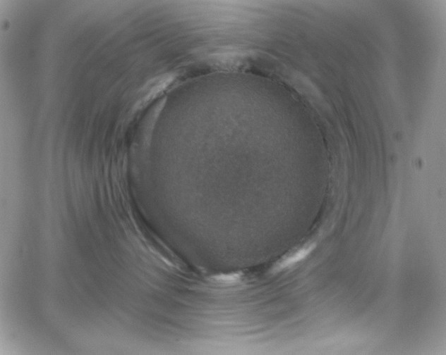 X0000066510432200603201303