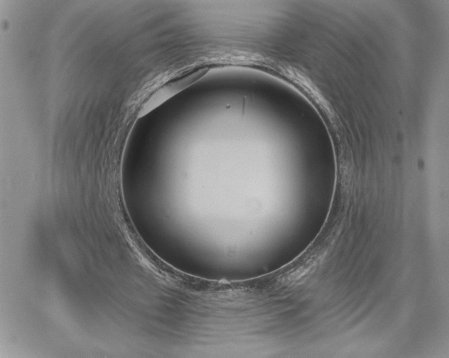 X0000066510433200603201302