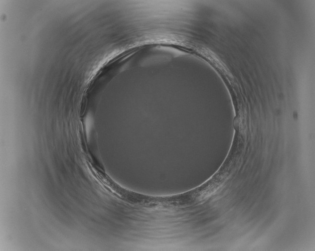 X0000066510434200603201302