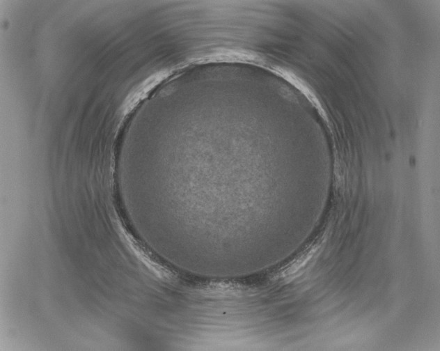 X0000066510437200603201302