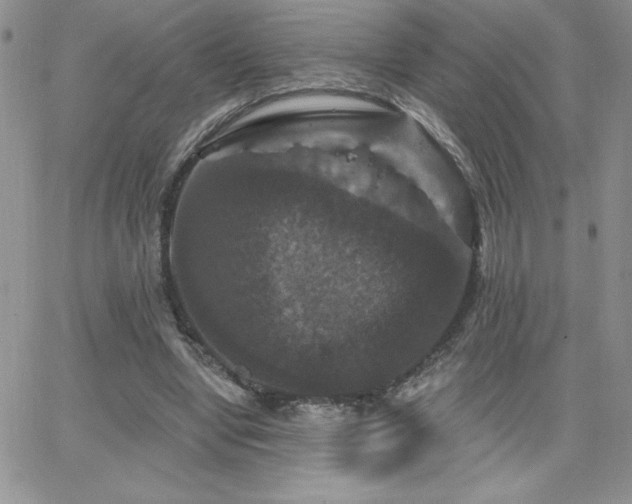 X0000066510442200603201302
