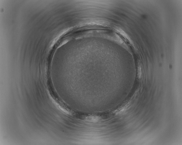 X0000066510444200603201302