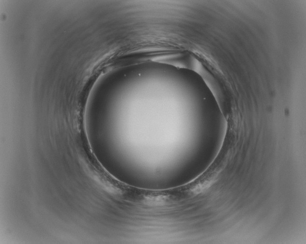 X0000066510450200603201302