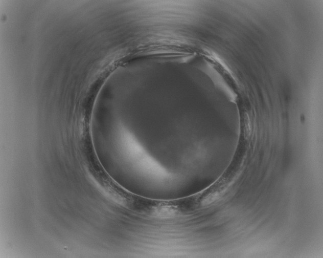 X0000066510451200603201302