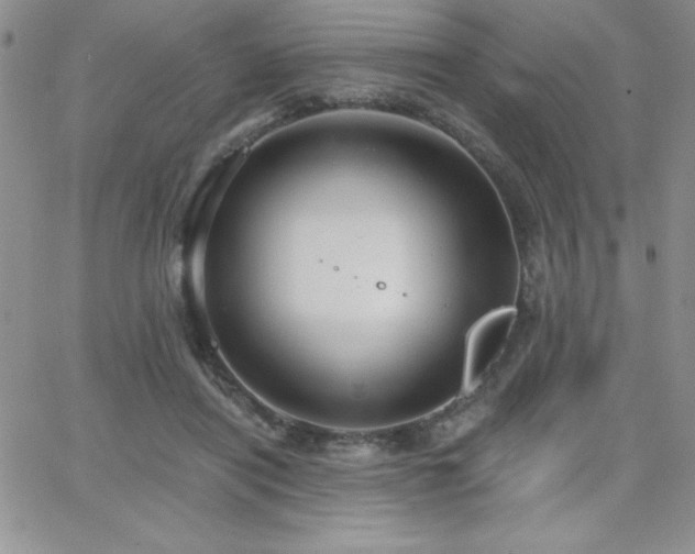 X0000066510454200603201302