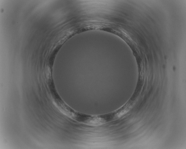 X0000066510459200603201302