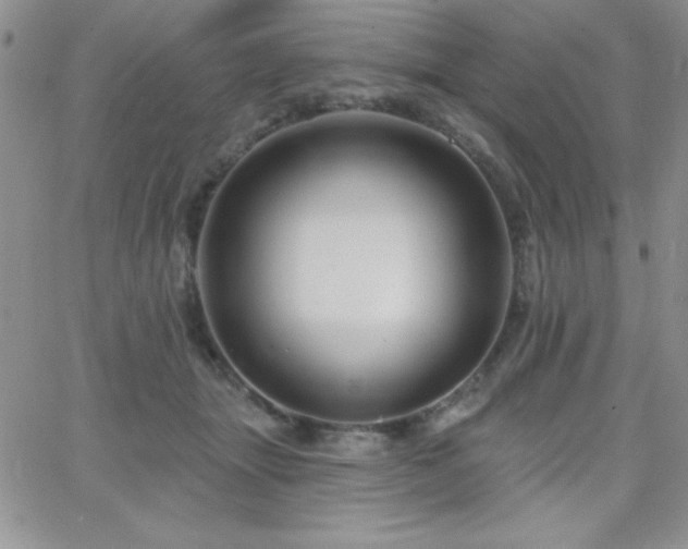 X0000066510463200603201303