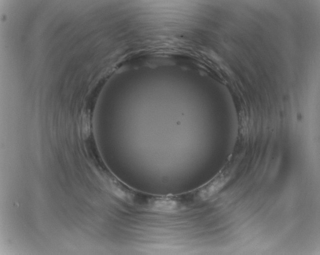X0000066510471200603201303
