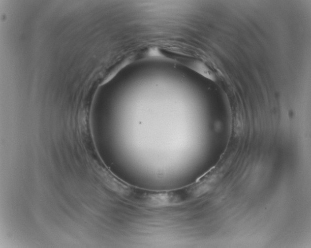 X0000066510473200603201303