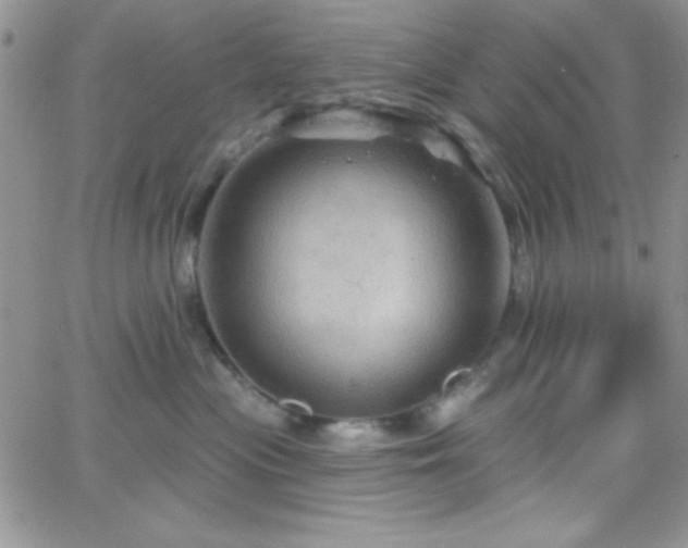 X0000066510477200603201303