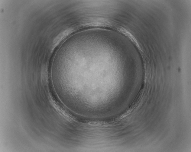 X0000066510482200603201302