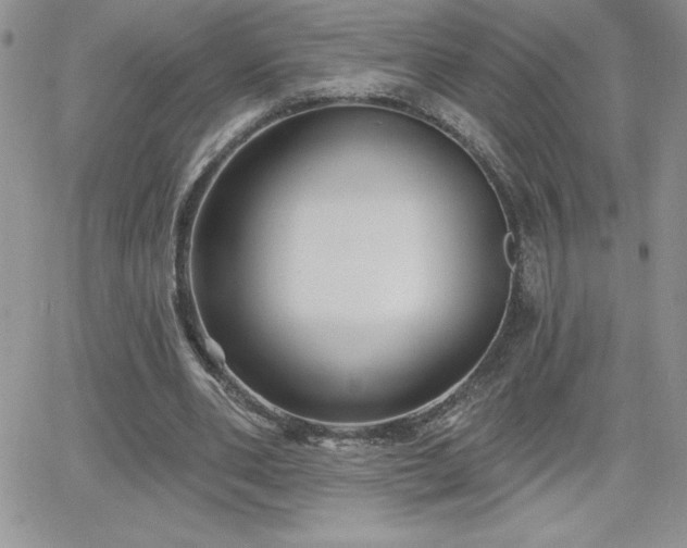 X0000066510486200603201302