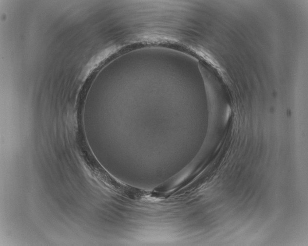 X0000066510488200603201302
