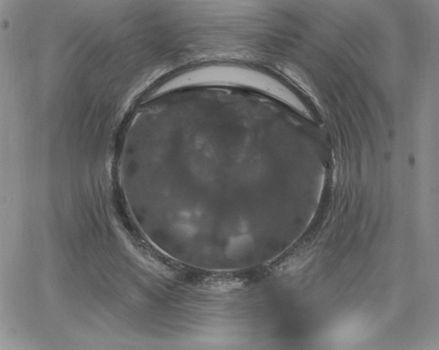 X0000066510491200603201302