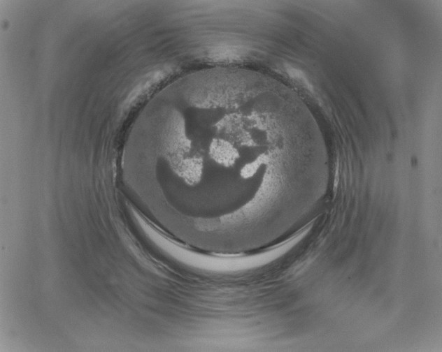 X0000066510495200603201302