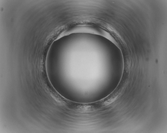 X0000066510497200603201302